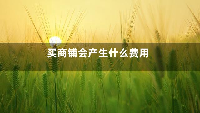 买商铺会产生什么费用