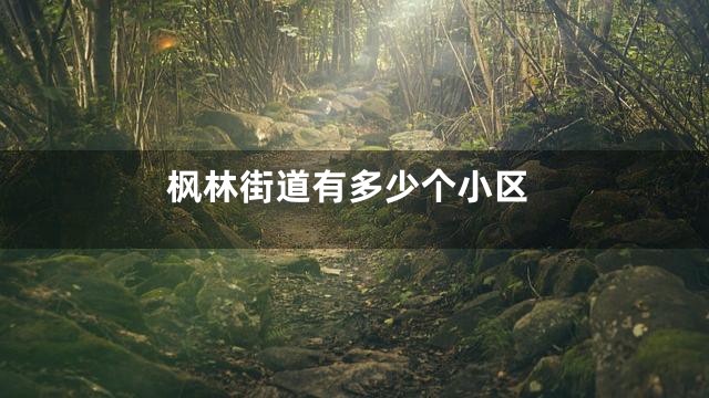 枫林街道有多少个小区