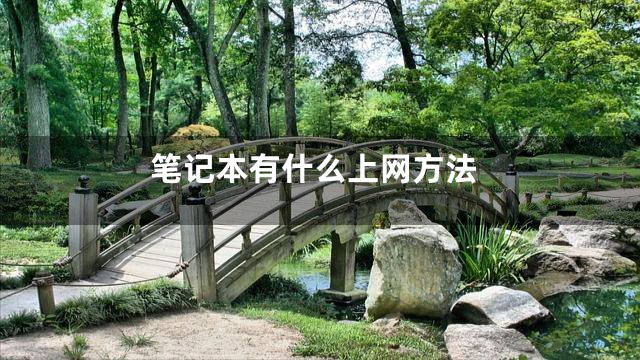 笔记本有什么上网方法