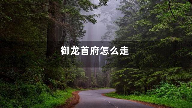 御龙首府怎么走
