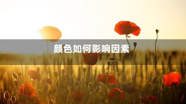 颜色如何影响因素