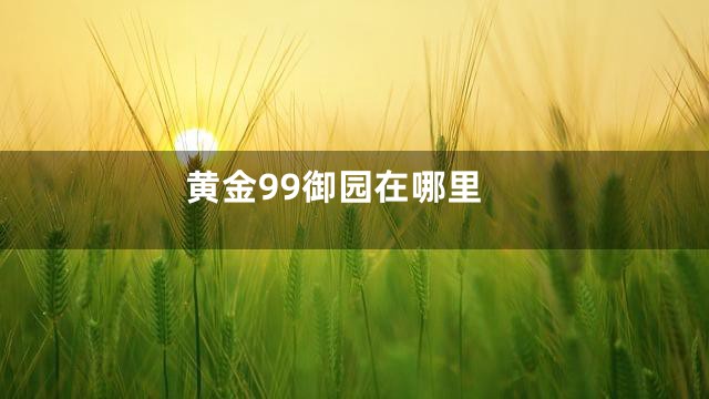 黄金99御园在哪里
