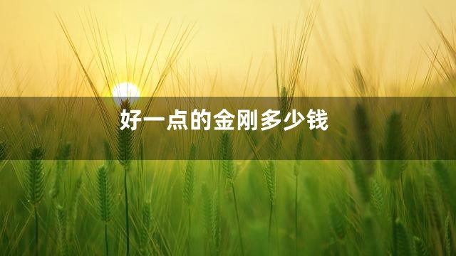 好一点的金刚多少钱