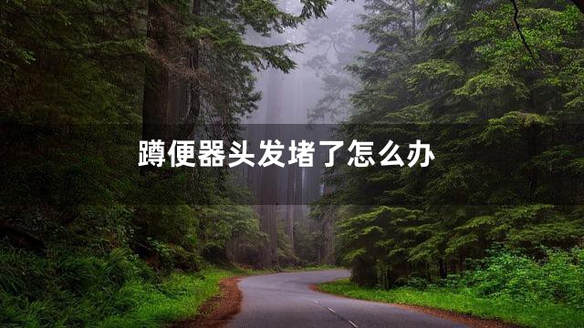 蹲便器头发堵了怎么办