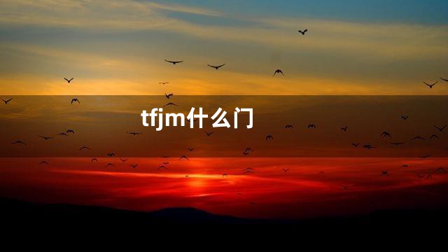 tfjm什么门
