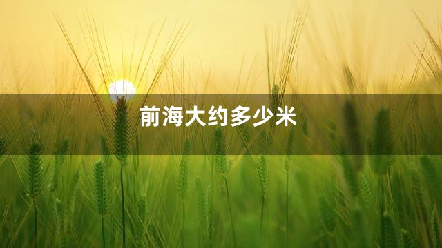 前海大约多少米