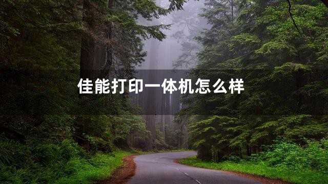 佳能打印一体机怎么样