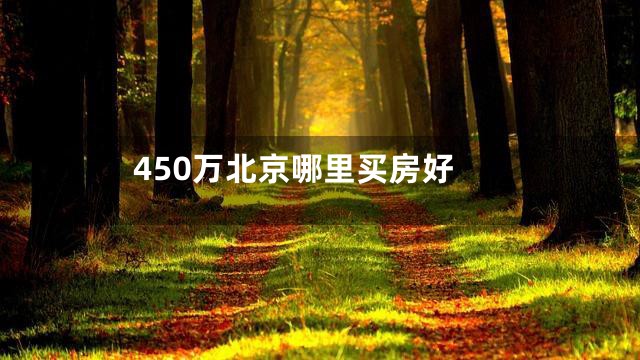 450万北京哪里买房好