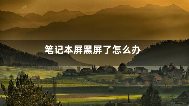 笔记本屏黑屏了怎么办