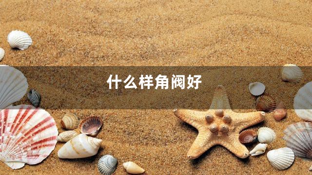 什么样角阀好