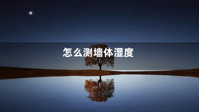 怎么测墙体湿度
