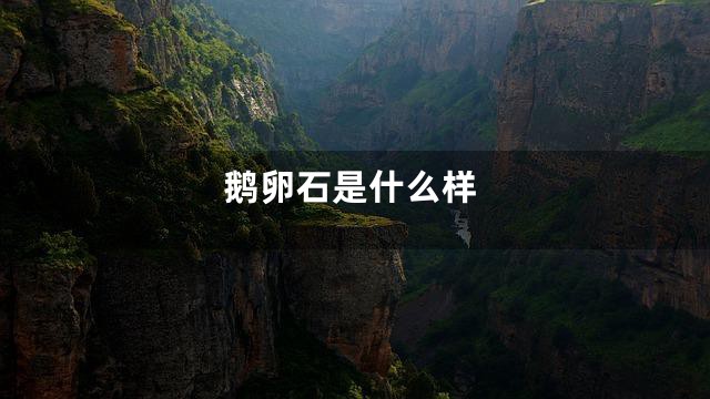 鹅卵石是什么样