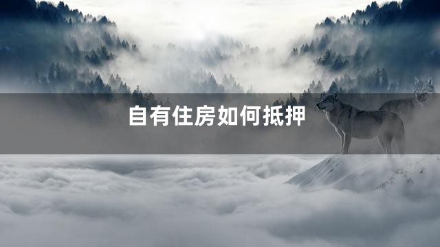 自有住房如何抵押