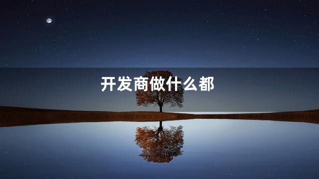 开发商做什么都