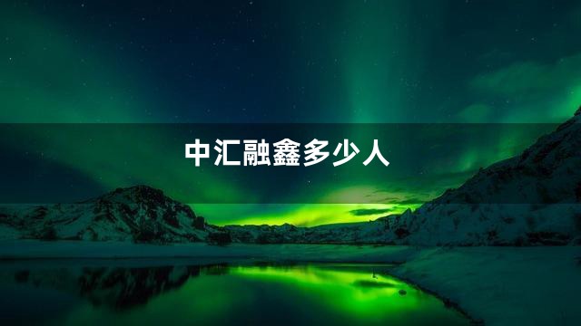 中汇融鑫多少人