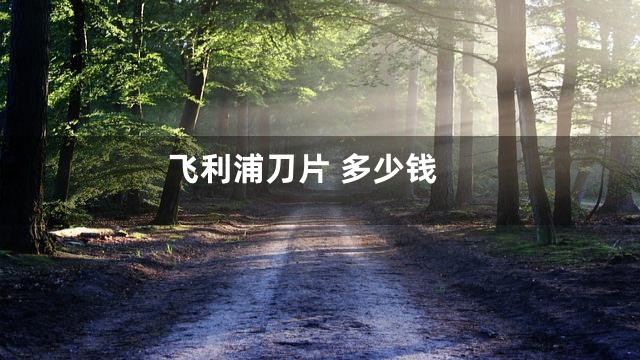 飞利浦刀片 多少钱