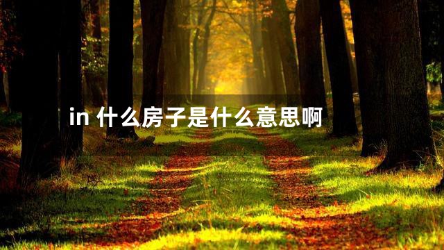 in 什么房子是什么意思啊