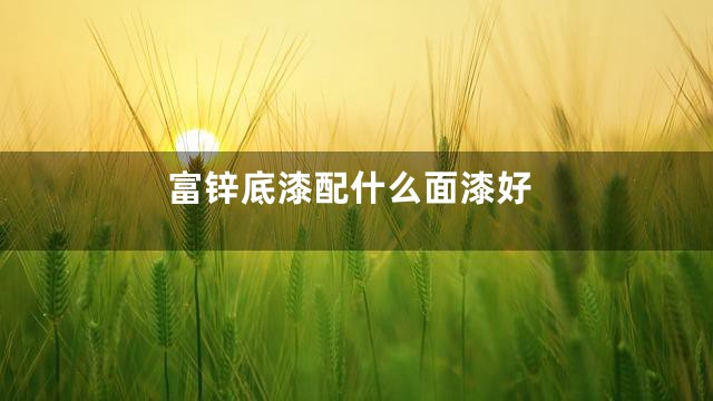 富锌底漆配什么面漆好