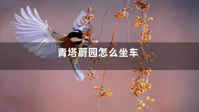 青塔蔚园怎么坐车