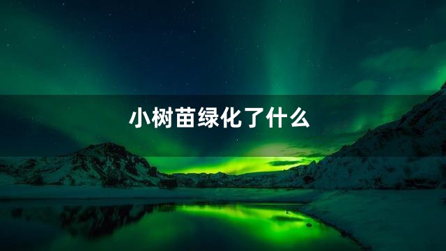小树苗绿化了什么