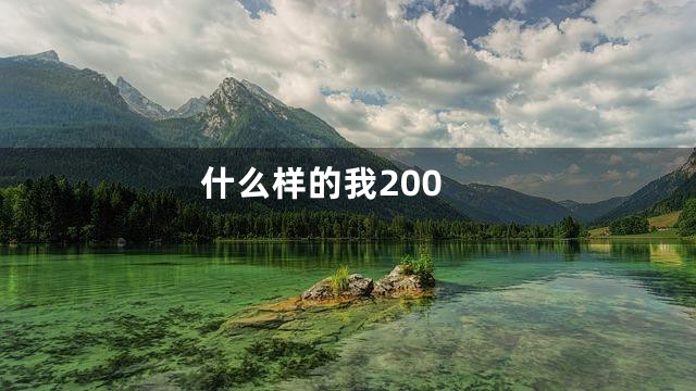 什么样的我200