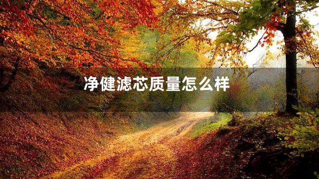 净健滤芯质量怎么样