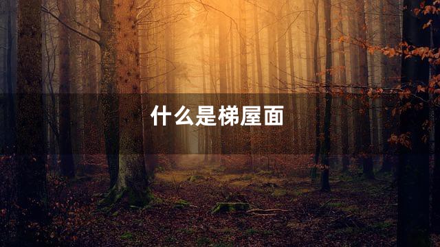 什么是梯屋面