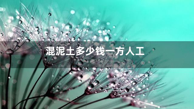 混泥土多少钱一方人工