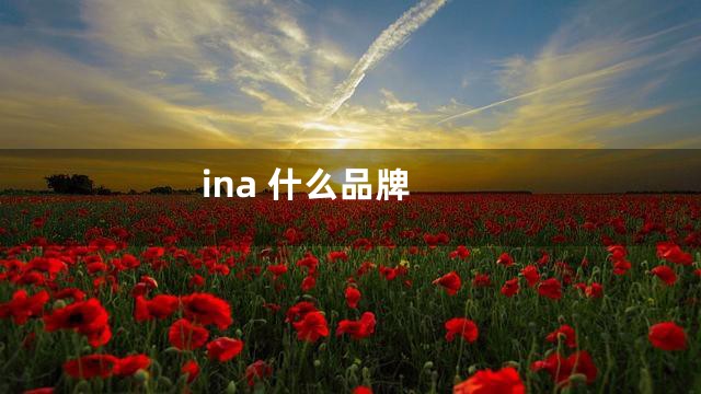 ina 什么品牌