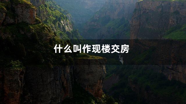 什么叫作现楼交房