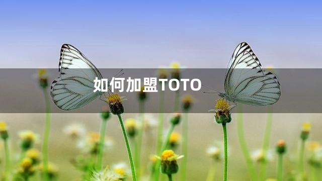 如何加盟TOTO