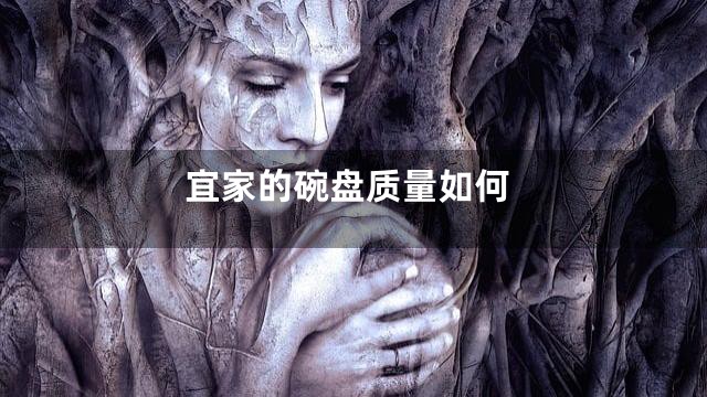 宜家的碗盘质量如何