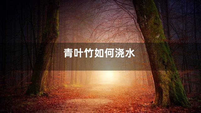 青叶竹如何浇水