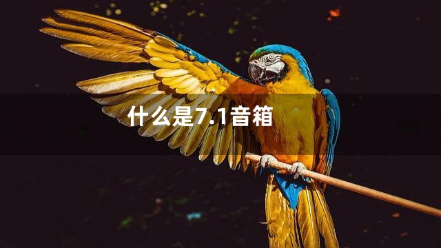 什么是7.1音箱