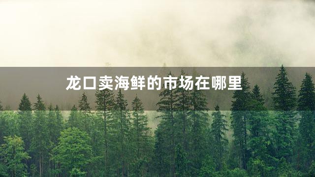 龙口卖海鲜的市场在哪里