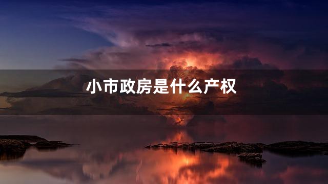 小市政房是什么产权