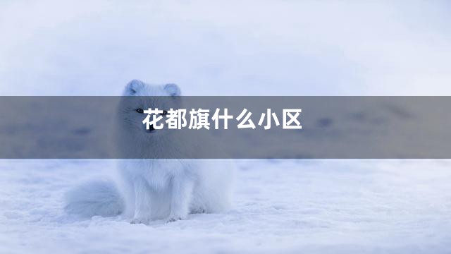 花都旗什么小区