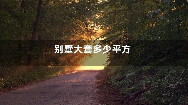 别墅大套多少平方