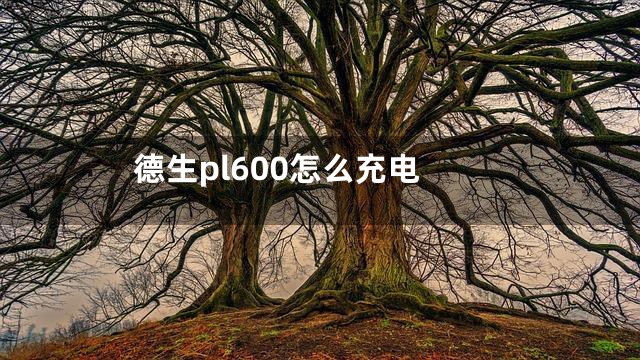 德生pl600怎么充电