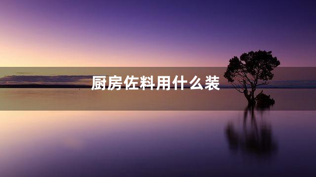 厨房佐料用什么装