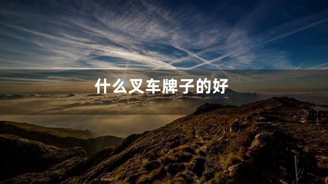 什么叉车牌子的好