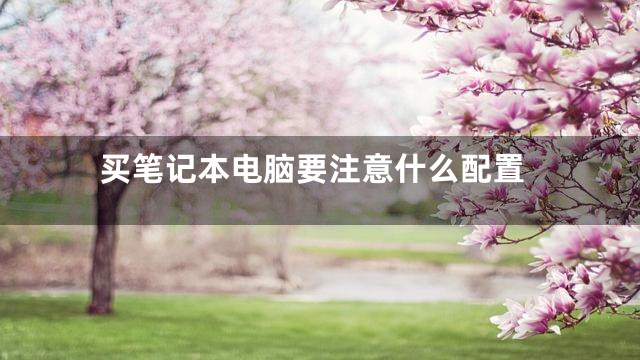 买笔记本电脑要注意什么配置