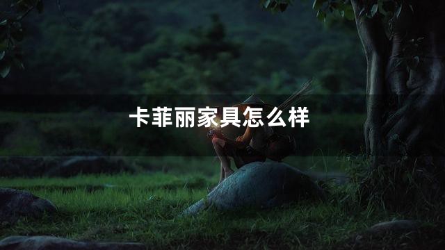 卡菲丽家具怎么样