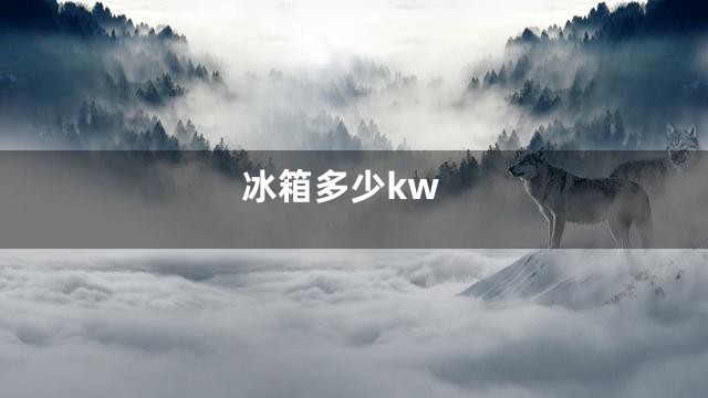 冰箱多少kw