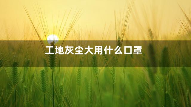 工地灰尘大用什么口罩