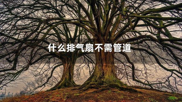 什么排气扇不需管道