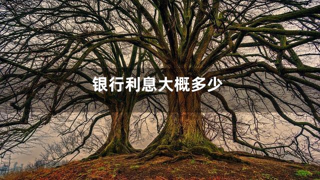 银行利息大概多少