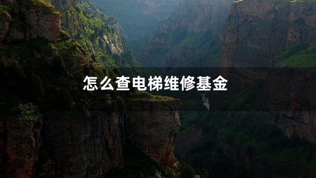 怎么查电梯维修基金