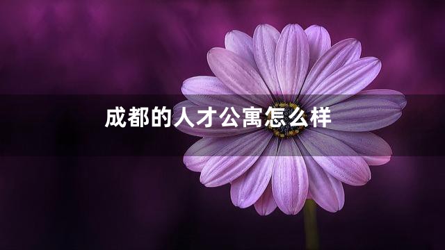 成都的人才公寓怎么样