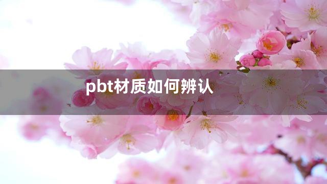 pbt材质如何辨认